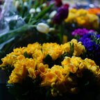 Букет из розовых роз